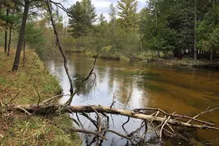 9240 W River Rd, Irons, MI 49644 - Photo 1