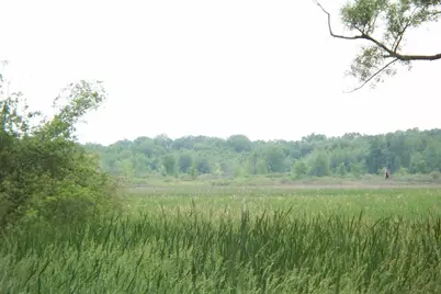 V/L Dew Road, Horton, MI 49246 - Photo 1