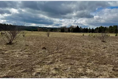 V/L 2 Acre S Saddler Road, Chase, MI 49623 - Photo 1