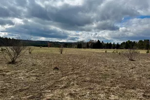V/L 2 Acre S Saddler Rd, Chase, MI 49623 - Photo 1
