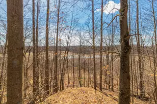 V/L 17 Mile Rd, Rodney, MI 49342 - Photo 1