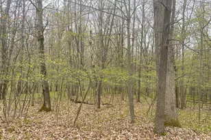 12090 Dubois Dr, Canadian Lakes, MI 49346 - Photo 1