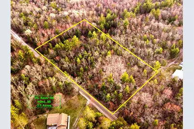 V/L Astor Road, Irons, MI 49644 - Photo 1