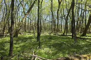 V/L Bellevue, Bellevue, MI 49021 - Photo 1