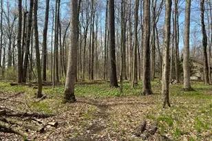 Waterloo Munith Rd, Grass Lake, MI 49240 - Photo 1
