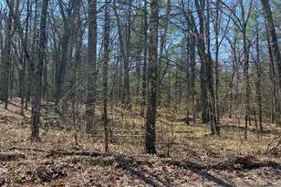 Vl 16th St, Twin Lake, MI 49457 - Photo 1
