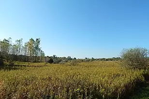2857 Oakley Rd, Stockbridge, MI 49285 - Photo 1