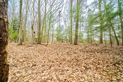 E Piney Road, Manistee, MI 49660 - Photo 1