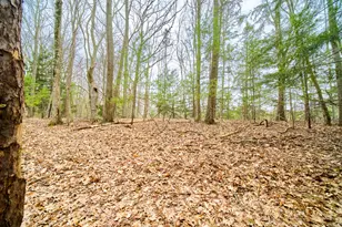 E Piney Rd, Manistee, MI 49660 - Photo 1