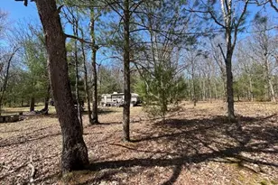 Vl E Roosevelt Rd, Rothbury, MI 49452 - Photo 1
