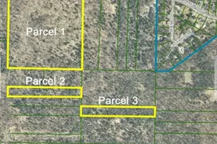 40 Acres E Lakewood, Twin Lake, MI 49457 - Photo 1