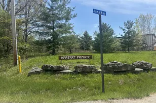 Jane Way, Sawyer, MI 49125 - Photo 1