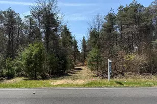 Vl W Almy Rd, Howard City, MI 49329 - Photo 1
