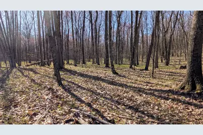 V/L Willow Avenue N, Bitely, MI 49309 - Photo 1