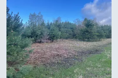 1910 S 132nd Avenue, Shelby, MI 49455 - Photo 1