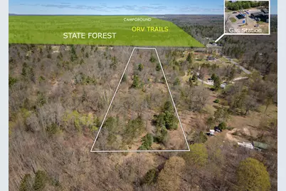 3911 E 3 Mile Road, Luther, MI 49656 - Photo 1
