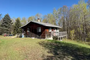 11904 E 8th St, Reed City, MI 49677 - Photo 1