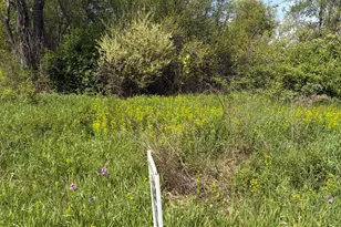 971 106th Ave, Plainwell, MI 49080 - Photo 1