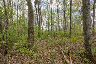 16130 140th Avenue, Leroy, MI 49655 - Photo 1