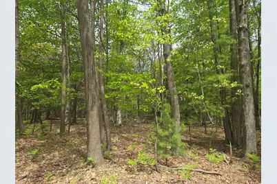 Vl N Ridge Road, Mears, MI 49436 - Photo 1