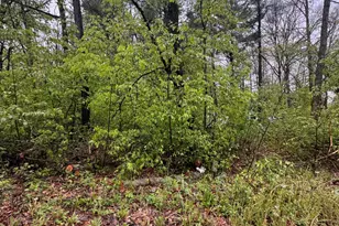 V/L Paw Paw Trail, Howard City, MI 49329 - Photo 1
