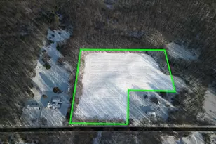 9317 Rountree Rd, Horton, MI 49246 - Photo 1