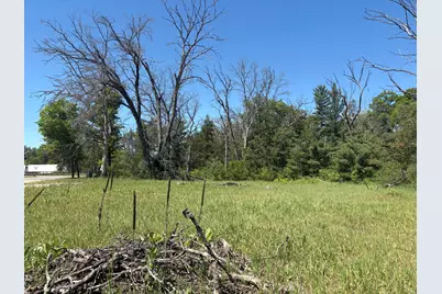 9457 S Michigan 37, Baldwin, MI 49304 - Photo 1