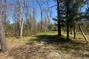 4097 S Michway Rd, Baldwin, MI 49304 - Photo 1
