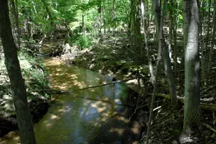 W Marshville Dam Rd, Shelby, MI 49455 - Photo 1