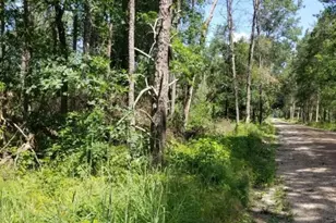 Parcel 4 Grove St, Baldwin, MI 49304 - Photo 1