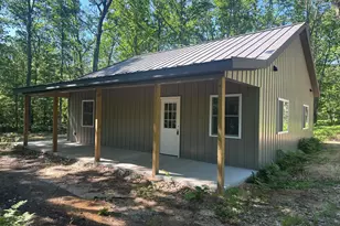 13261 S Star Lake Dr, Baldwin, MI 49304 - Photo 1