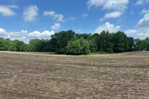 1750 Pierce Rd, Quincy, MI 49082 - Photo 1