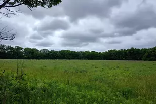 E Division St, Sherwood, MI 49089 - Photo 1