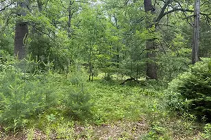 6250 Clover Rd, Twin Lake, MI 49457 - Photo 1