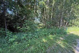 W Royal Rd, Canadian Lakes, MI 49346 - Photo 1