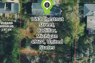 1693 Chestnut St, Cadillac, MI 49601 - Photo 1