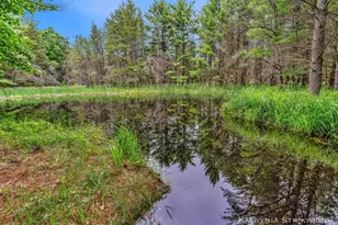 V/L E Kinney Rd, Branch, MI 49402 - Photo 1