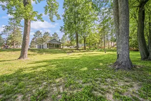 17299 Rapids Dr, Hersey, MI 49639 - Photo 1