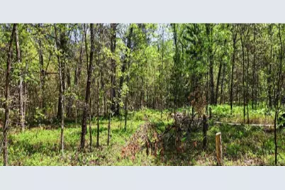 5592 Borck Road SE, Fife Lake, MI 49633 - Photo 1