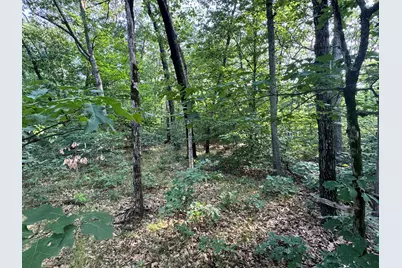 V/L E Washington Street, White Cloud, MI 49349 - Photo 1
