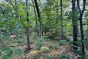 V/L E Washington St, White Cloud, MI 49349 - Photo 1