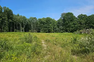 V/L 54th St, Fennville, MI 49408 - Photo 1