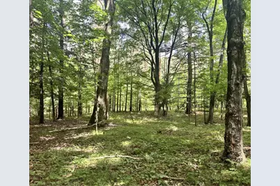 12917 2 Mile Road, Hersey, MI 49639 - Photo 1