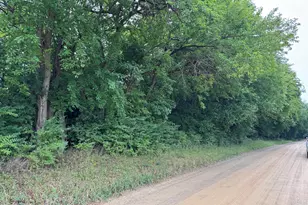 Blue Ridge Rd, Jackson, MI 49201 - Photo 1