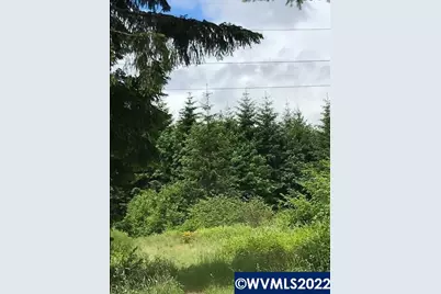 Cater (East) Rd, Warren, OR 97053 - Photo 6