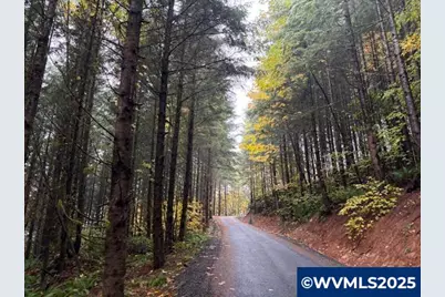 Cater (East) Rd, Warren, OR 97053 - Photo 10