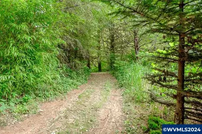 17126 Alsea Hwy, Alsea, OR 97324 - Photo 16