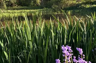 40787 Snow Peak Dr, Lebanon, OR 97355 - Photo 44