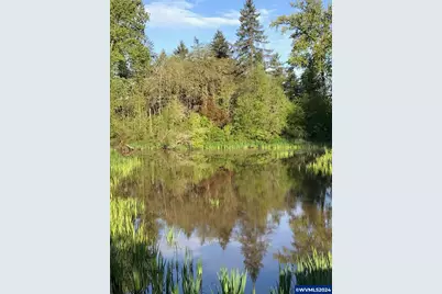 40787 Snow Peak Dr, Lebanon, OR 97355 - Photo 42