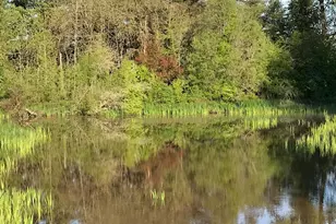 40787 Snow Peak Dr, Lebanon, OR 97355 - Photo 42